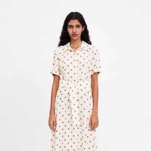 NWOT ZARA polka dot maxi dress